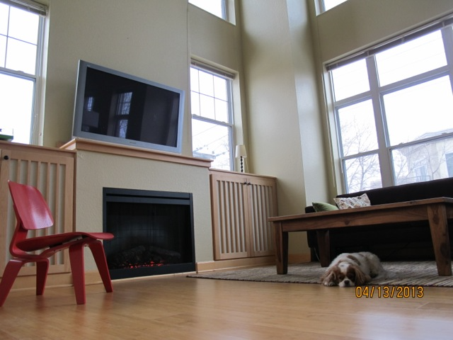 Minneapolis Condo: 308 E 18th St